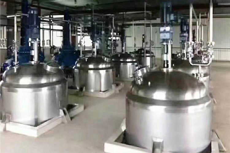 重庆不锈钢全自动微生物发酵罐